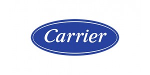 Carrier